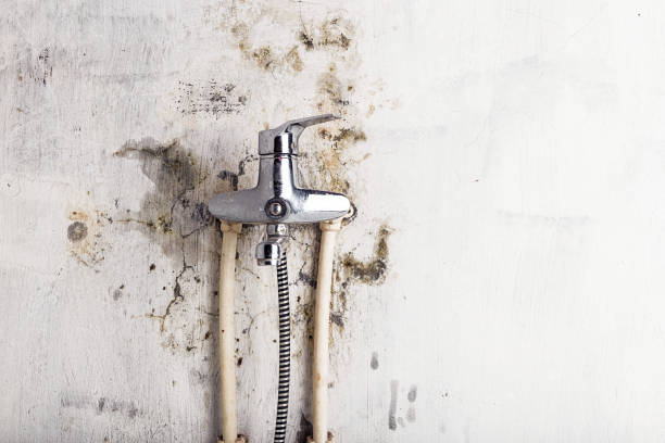 Certified Mold Removal in New London, CT
