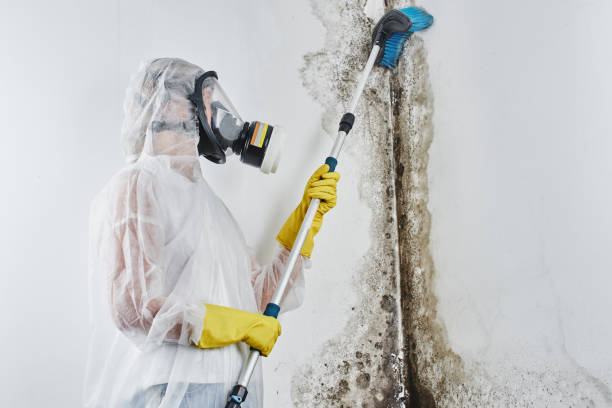 Best Water Damage Restoration  in New London, CT