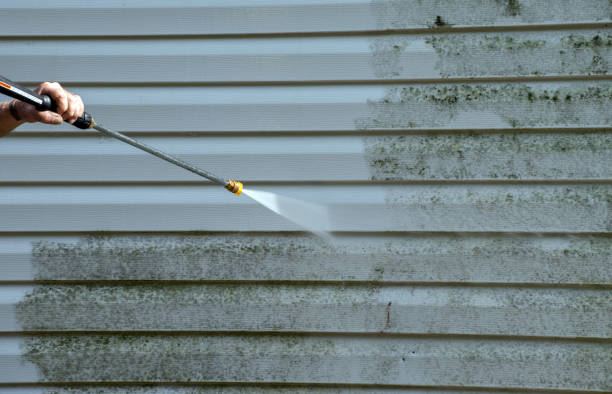 Best Home Mold Removal  in New London, CT
