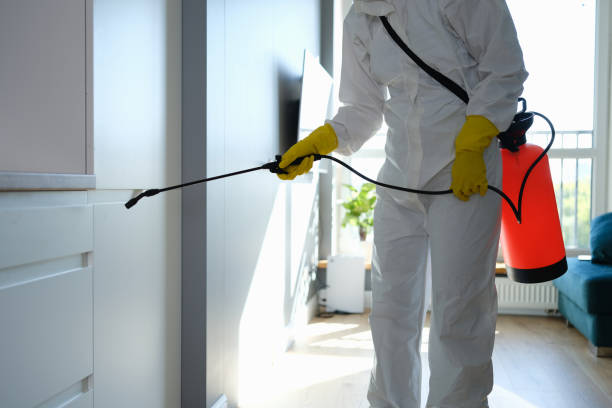 Best Residential Mold Removal  in New London, CT