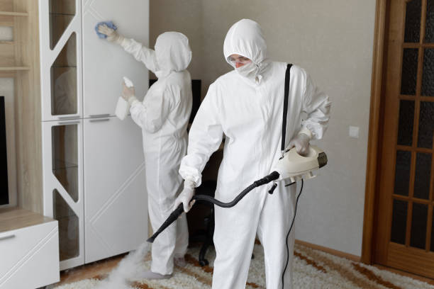 Trusted New London, CT Mold Removal Experts