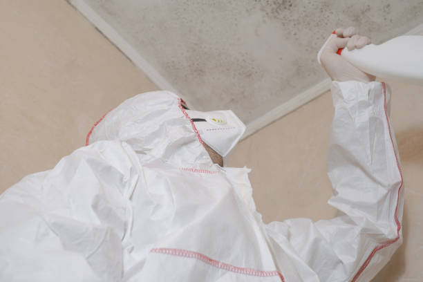 Best Emergency Mold Removal  in New London, CT