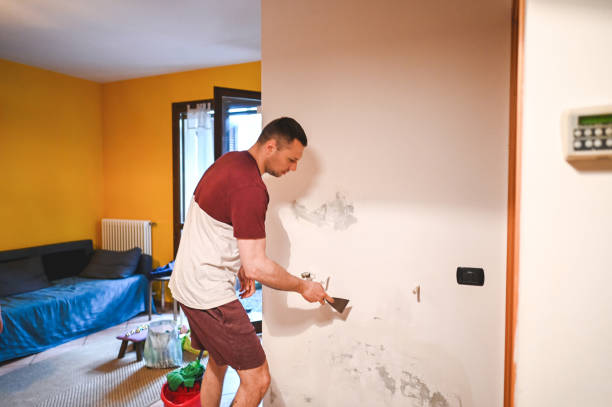 Best Certified Mold Removal  in New London, CT